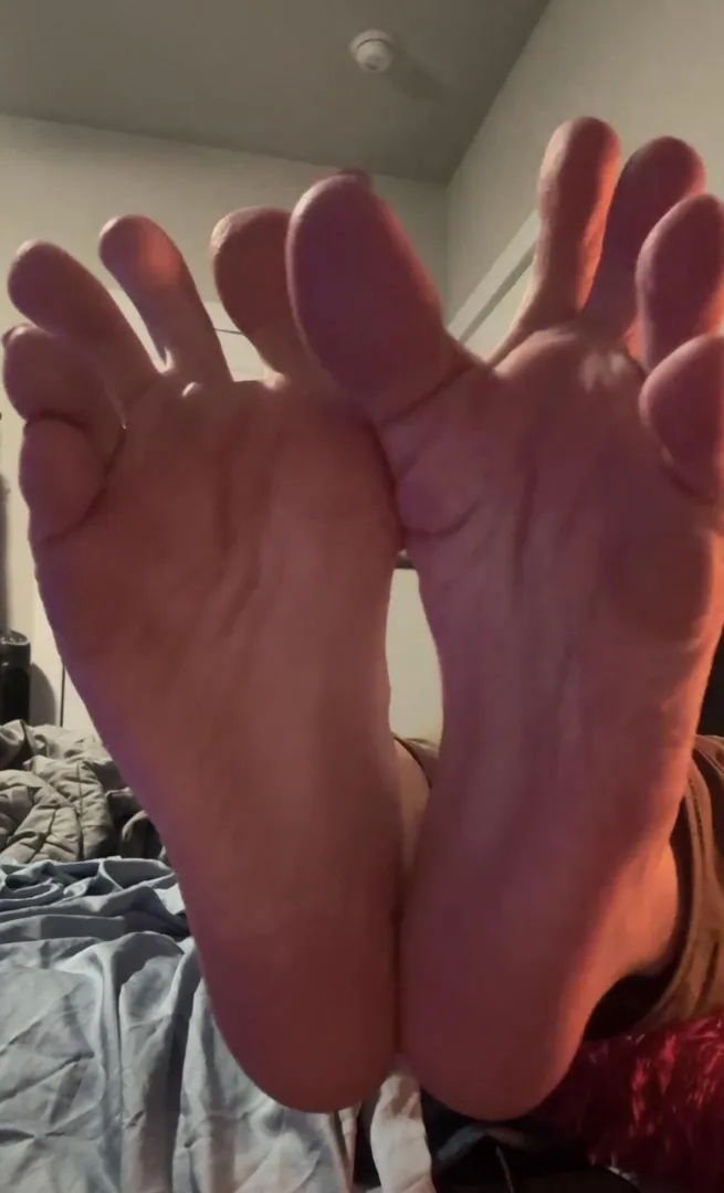 facehuggers posted by feeling_sinfull