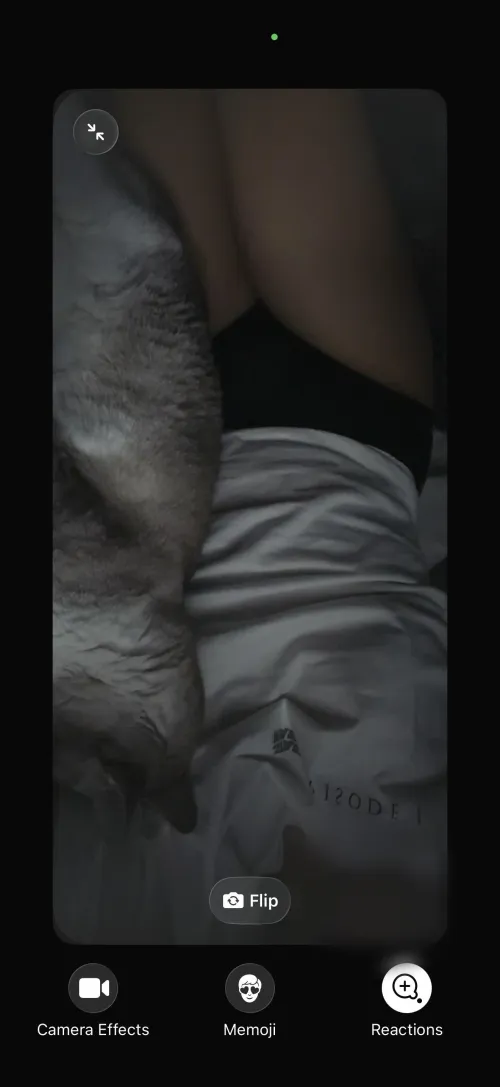 (F)aceTime and something mild by naughty_nezuko