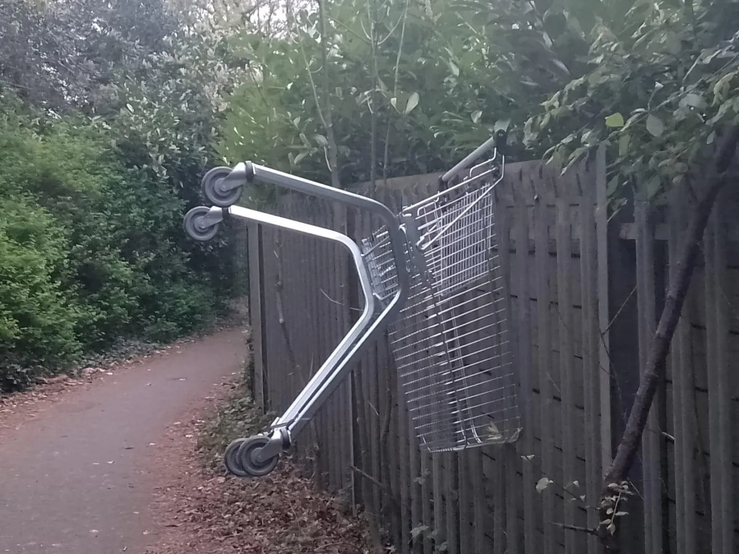 Failed escape attempt posted by 0thethethe0