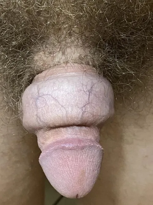 Fantasy dildo by gulff