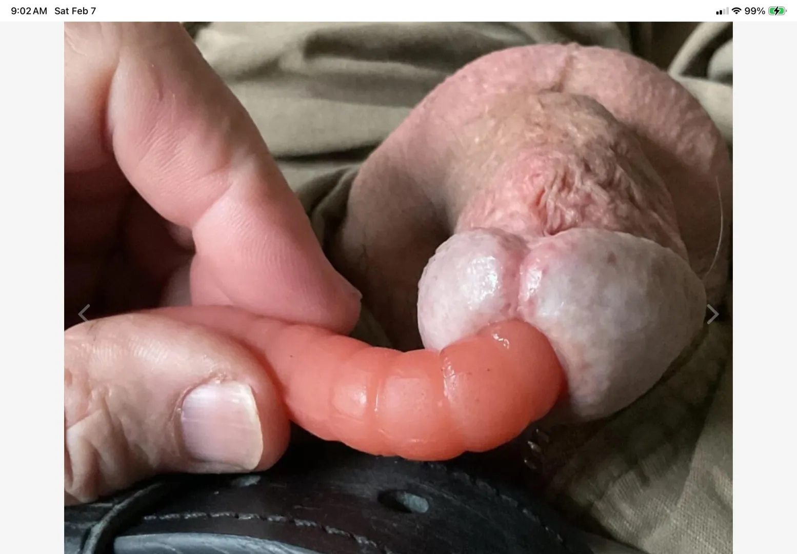 Fat worm is the best in a small penis. posted by Seahunter56