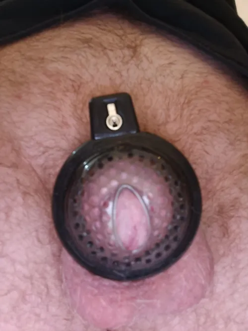 Favorit by Tall_Entry2834