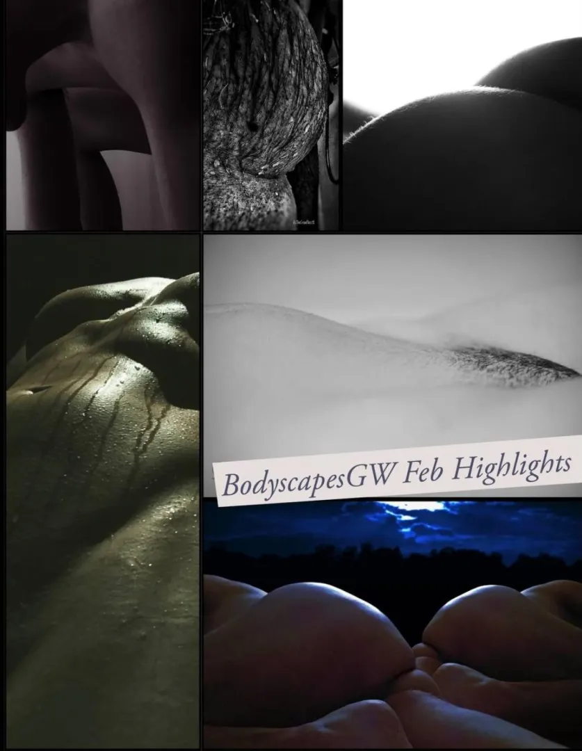 February Highlights posted by XXXoticArt