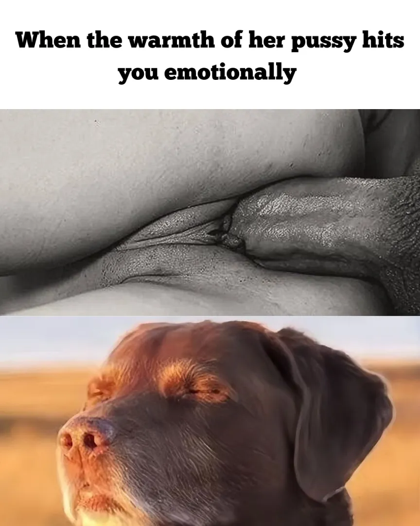 Feel it brother posted by whodidshit