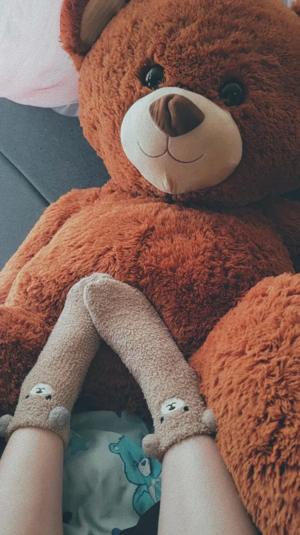 Feeling beary cozy :3  posted by princess-kuromi
