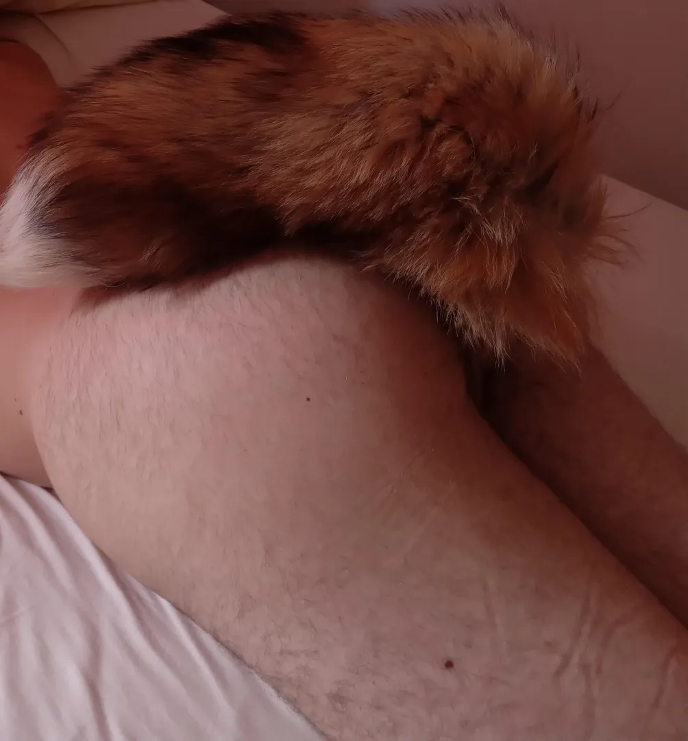 Feeling cute, fluffy and horny  posted by PonyPupp