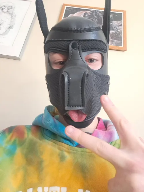 Feeling cute today by CoolAcanthocephala26