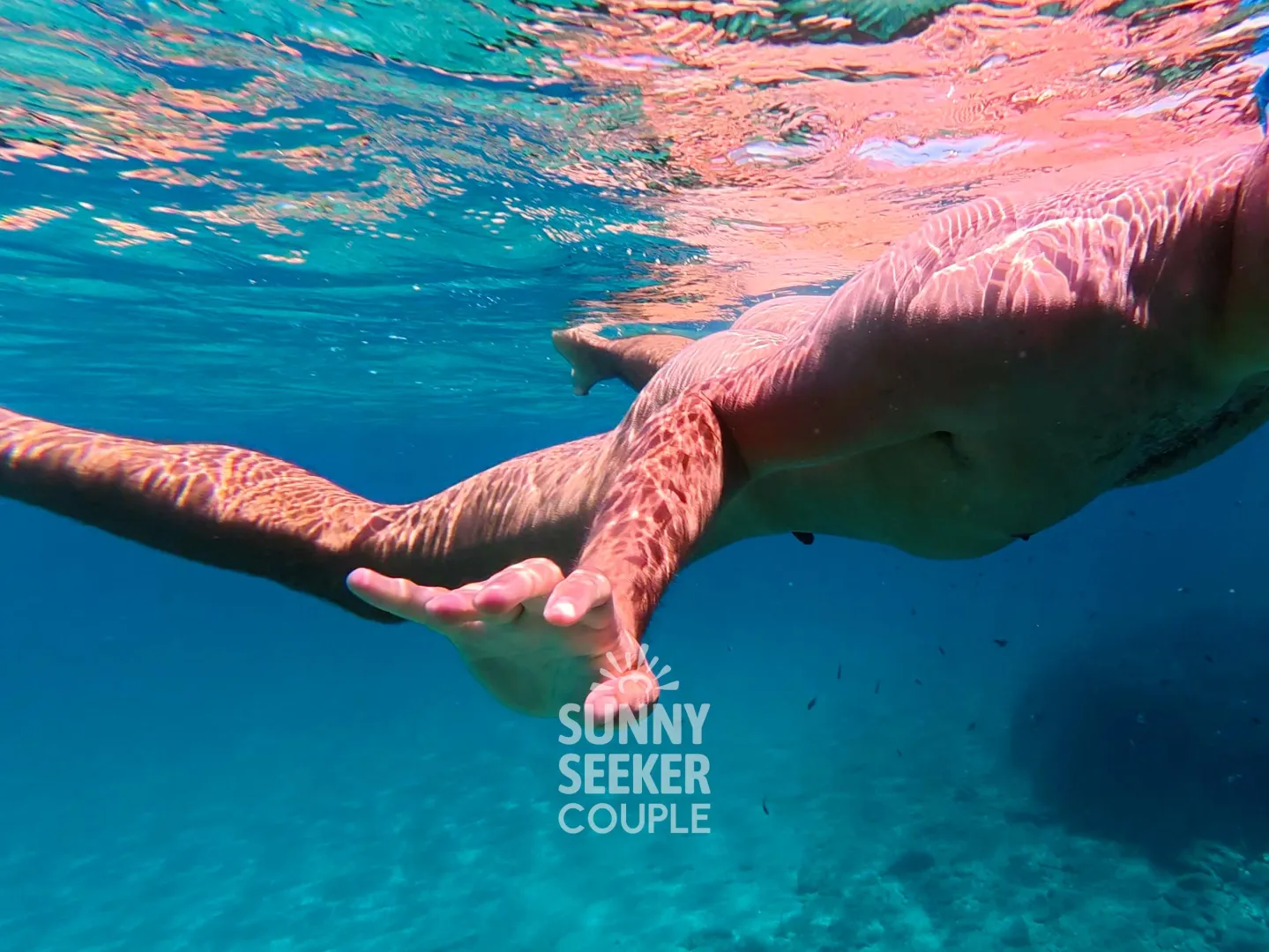 Feeling the freedom all over  posted by SunnySeekerCouple