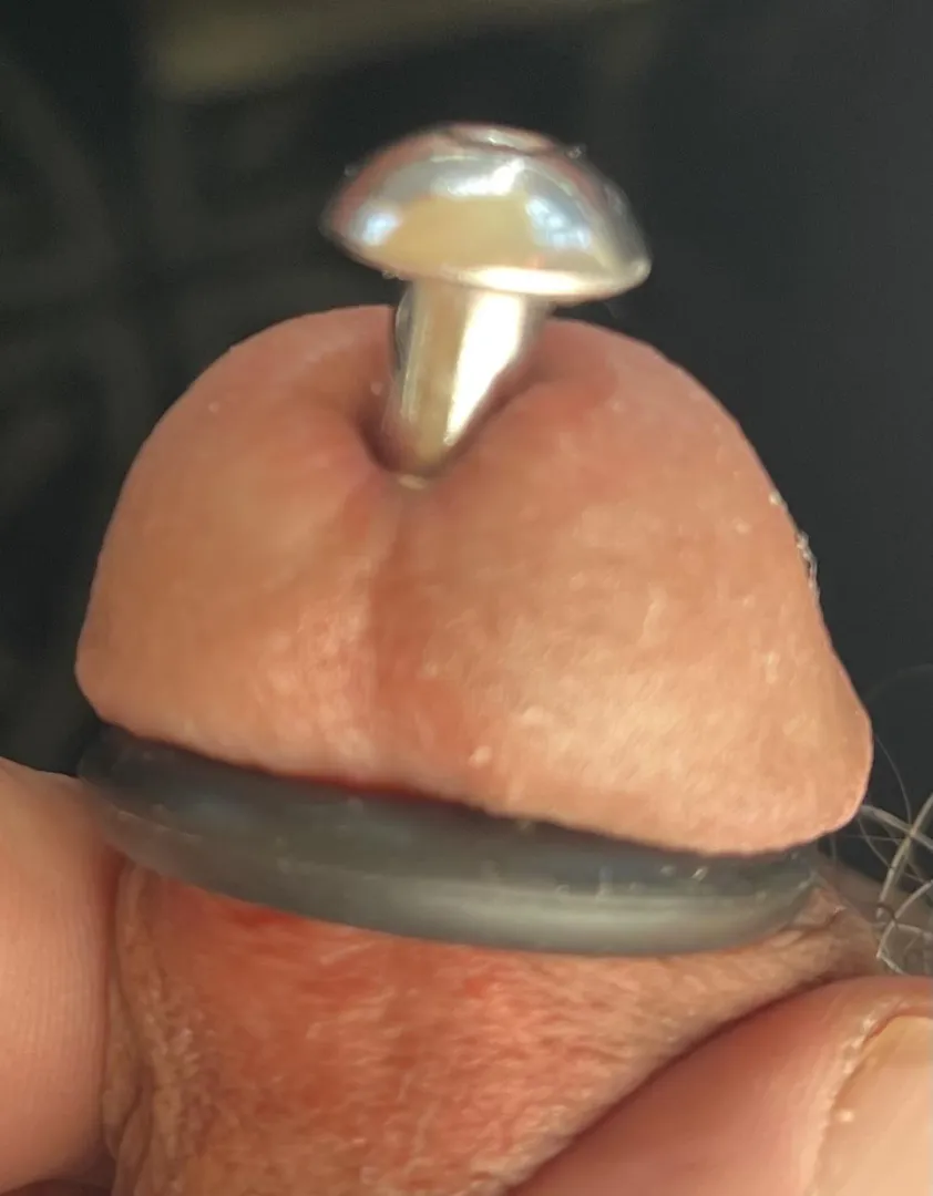 Feels Incredible!!! posted by Cock_Plugger