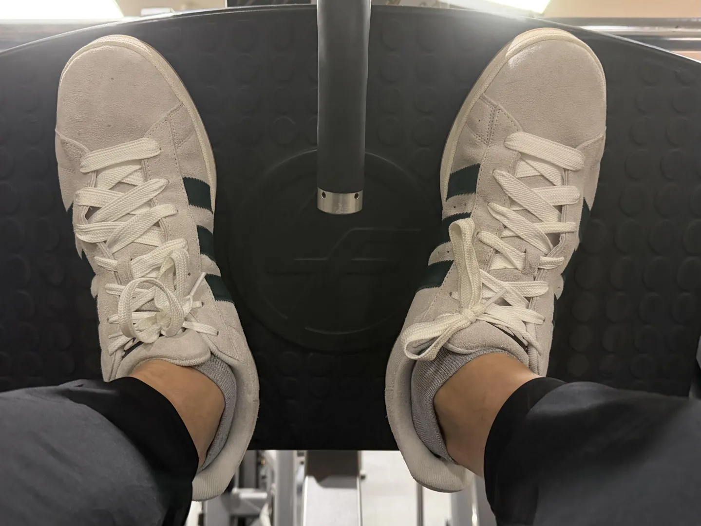 Feet are almost too big for leg press at the gym  posted by Exotic_Growth1686