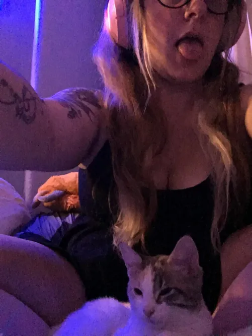 Fetish Haven Seller Profile for u/kitten-knap-3672 by HavenMom