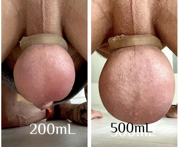 fin comparison… by MattDaddyJock