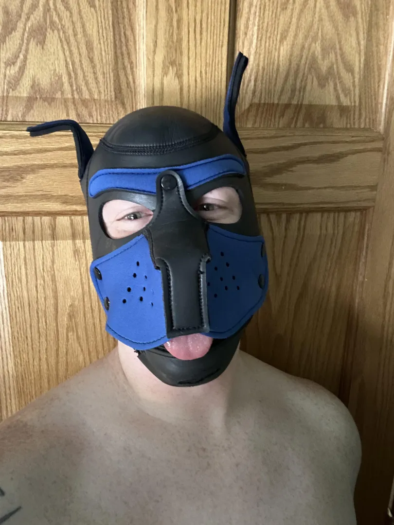 Finally getting some time to just be a pup! posted by BraveLawfulness4174