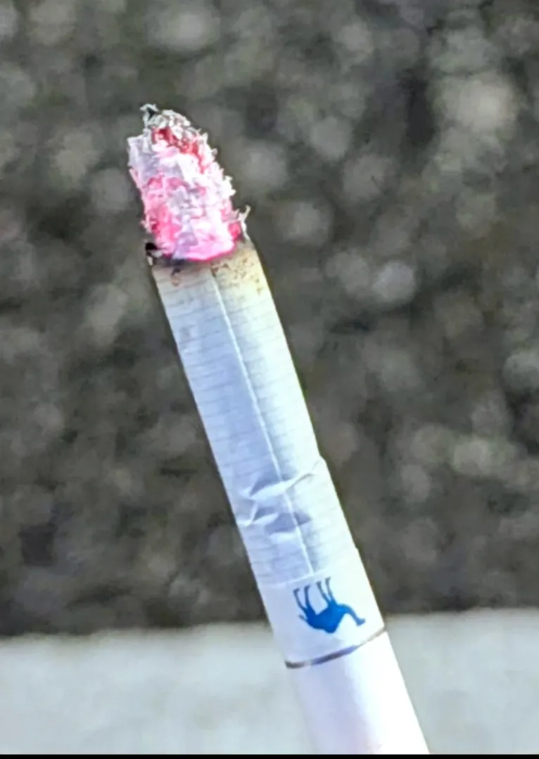 finally got Camel crush posted by w00tme