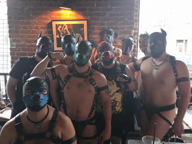 Finally got my whole pack together for a photo, plus some sneaky pup photobombers by AlphaPupJax