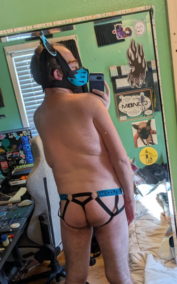 Finally hit 50° in the Midwest! Pupper got comfy posted by thesmoothfish