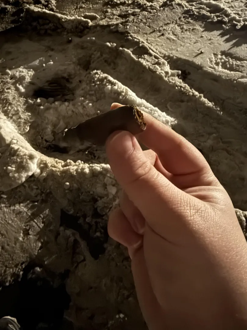 Finally warm in MN posted by AverageWargamer