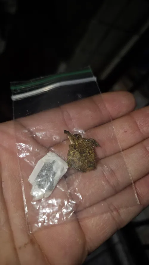 Finin pós expediente by Medium_Air8055