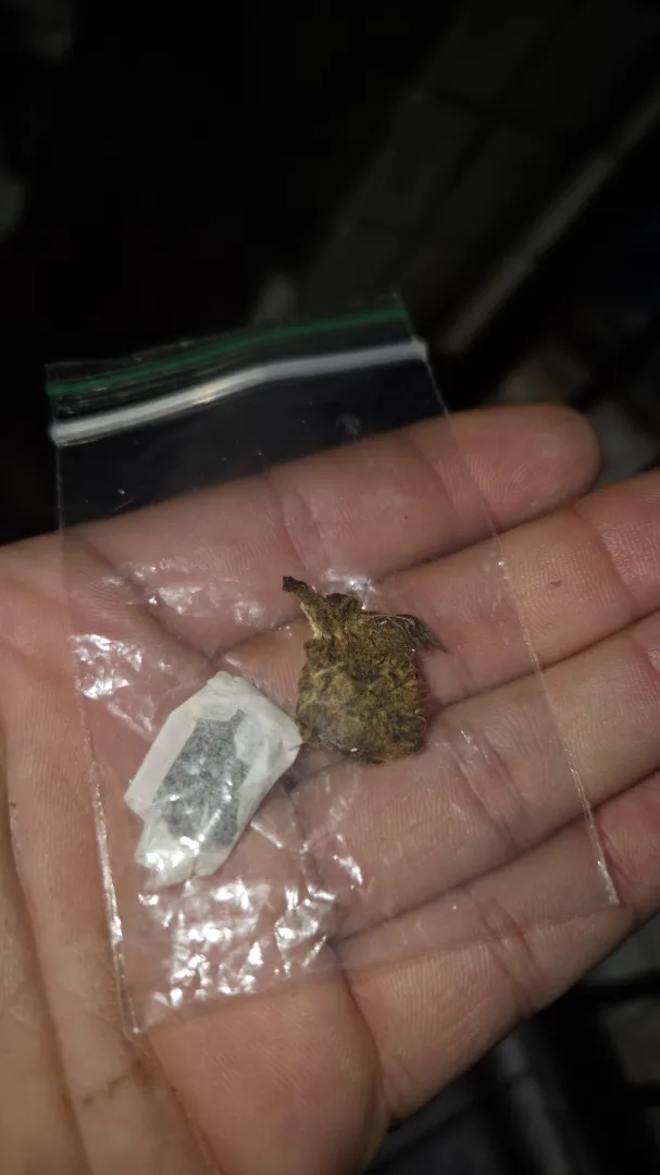 Finin pós expediente posted by Medium_Air8055