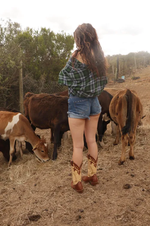 Finishing up the chores for the day by missmay_10