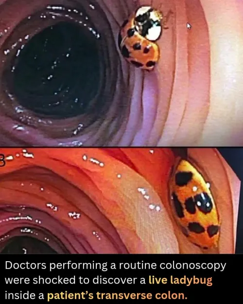 First Known Photograph of Adam by Based_Chink_69