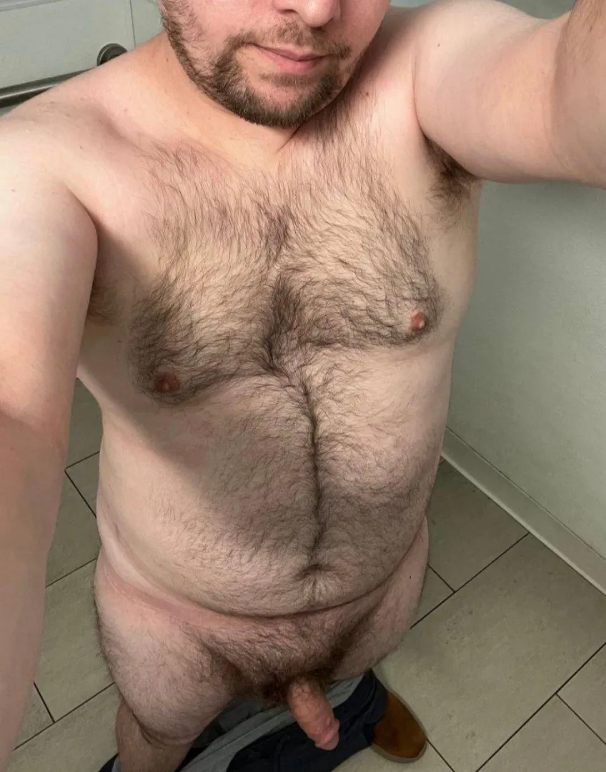 First post here. Anyone like giving belly rubs? posted by Wolf_Alpha_pup