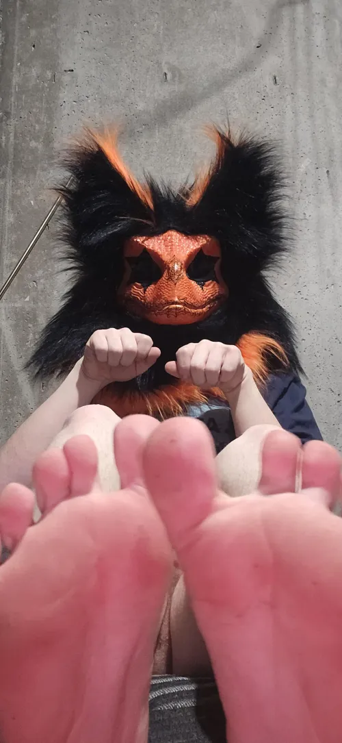 First post of my pawss by pumpkin_spice_AD