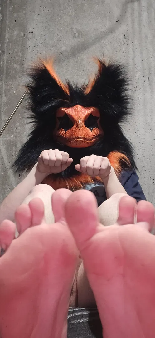 First post of my pawss posted by pumpkin_spice_AD