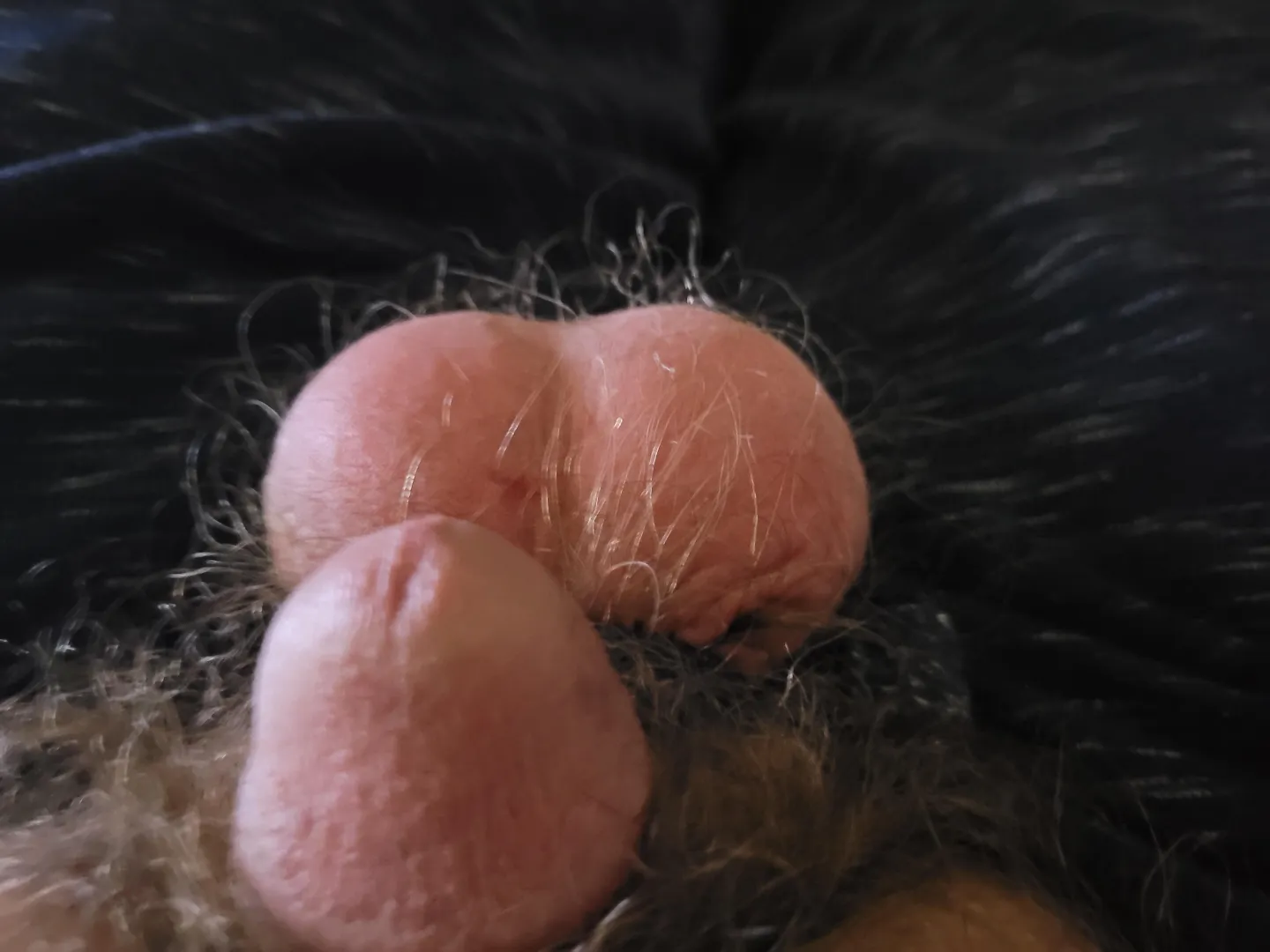 First punishment done posted by FallOk530