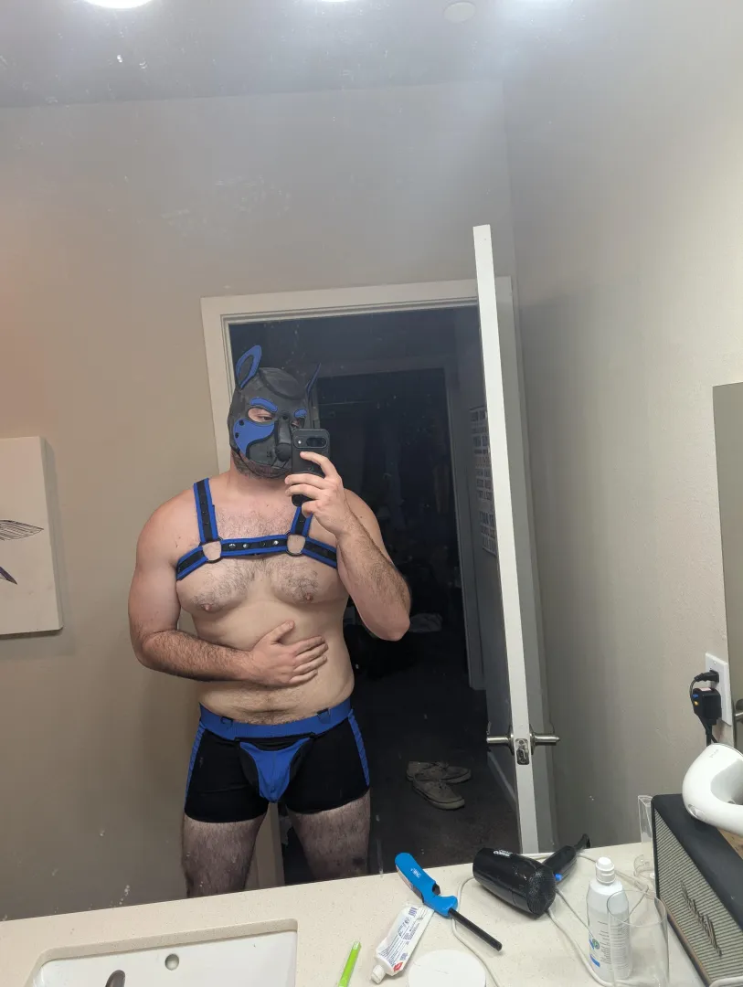 First time here! saying hi! posted by FaultImportant2100