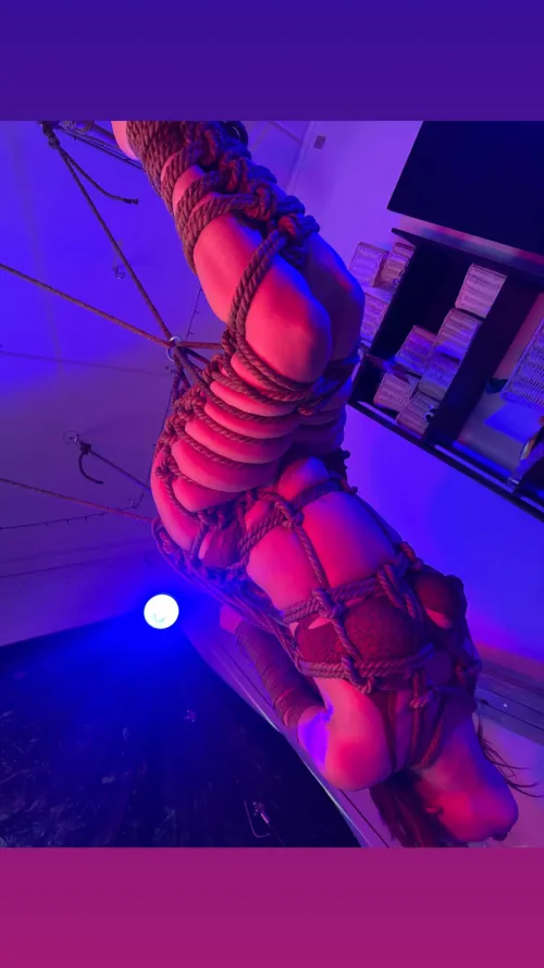 First try at taking pictures of some suspension  thank you in advance! by TheOneEllice