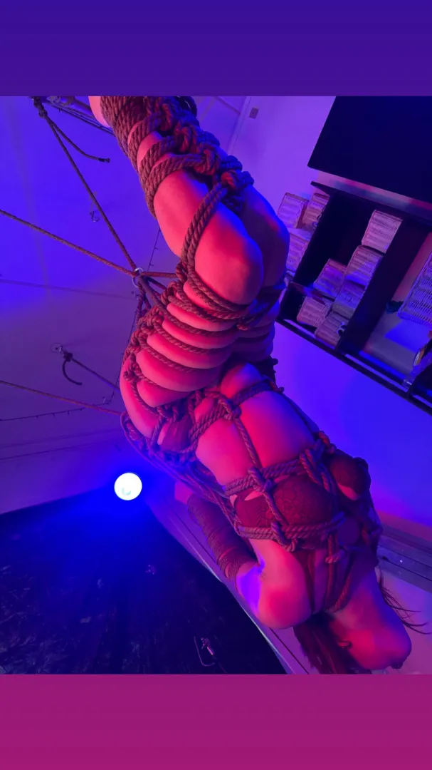 First try at taking pictures of some suspension  thank you in advance! posted by TheOneEllice