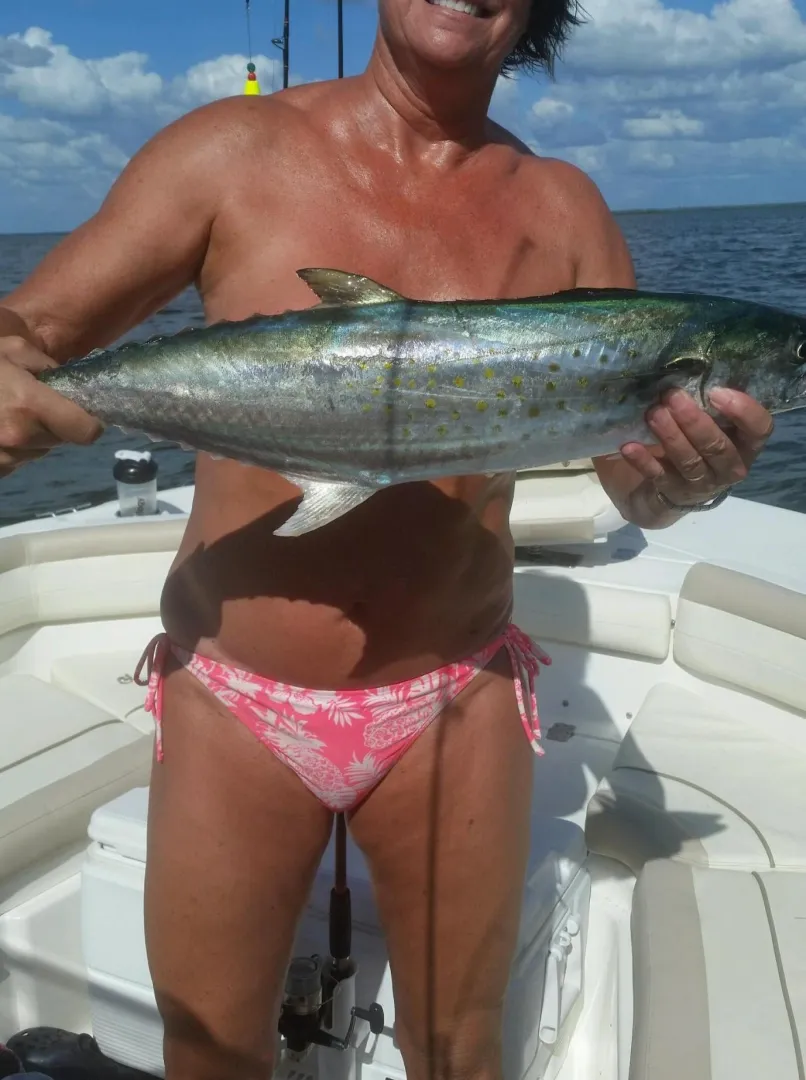 Fishbra posted by rfins