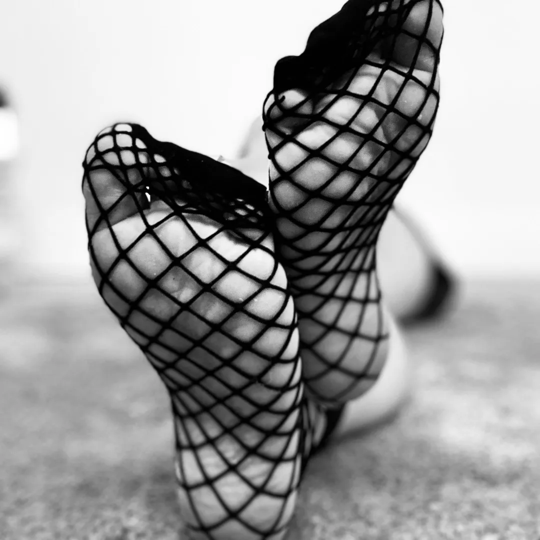 Fishnet socks  posted by DesignerFeeties