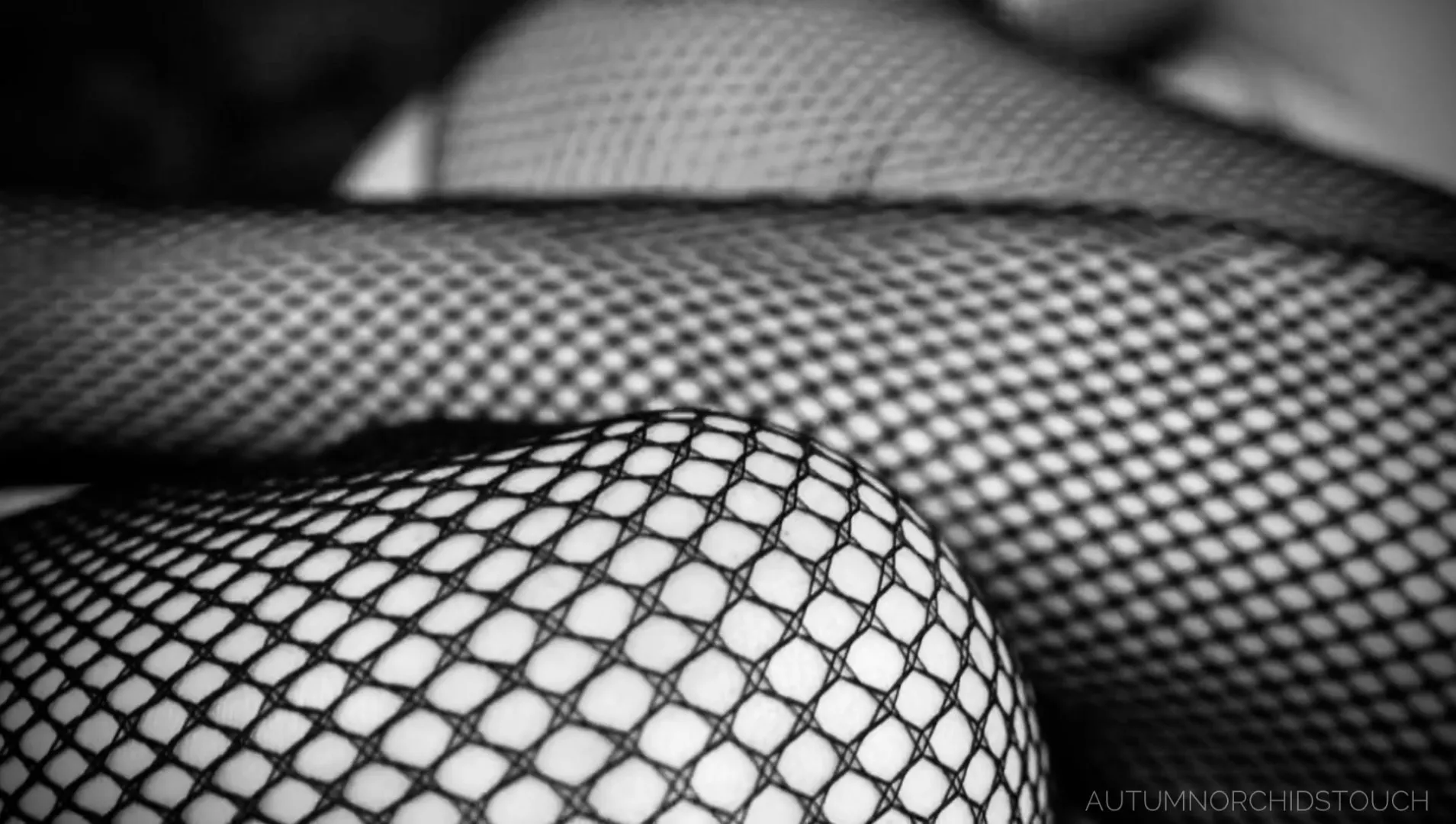 fishnets  posted by AutumnOrchidsTouch
