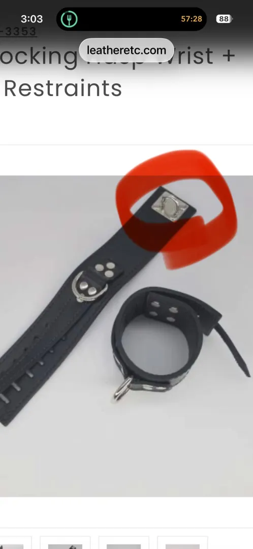 Fittings for non buckling cuffs. is this a hasp? where can i find them? posted by Responsible-Lack-334