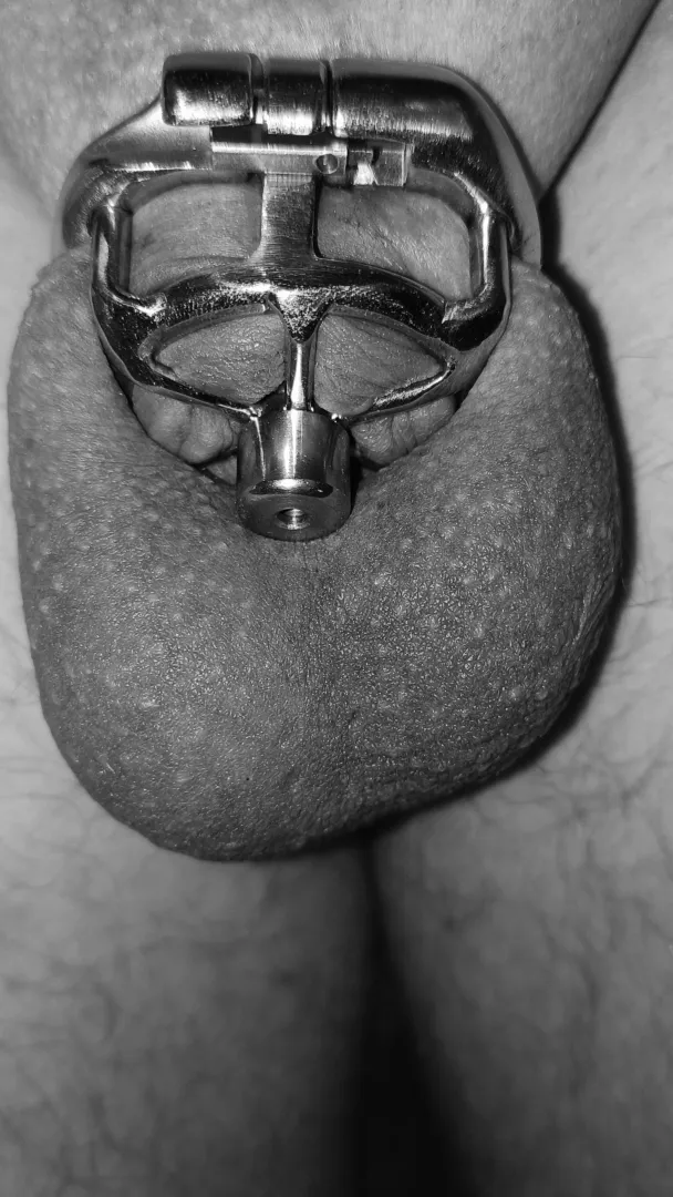 Flat cage. No relief. posted by flexiblee