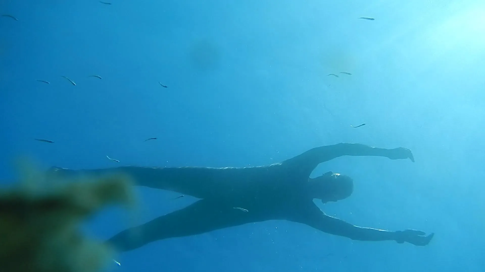 Floating… posted by neomysfodienss