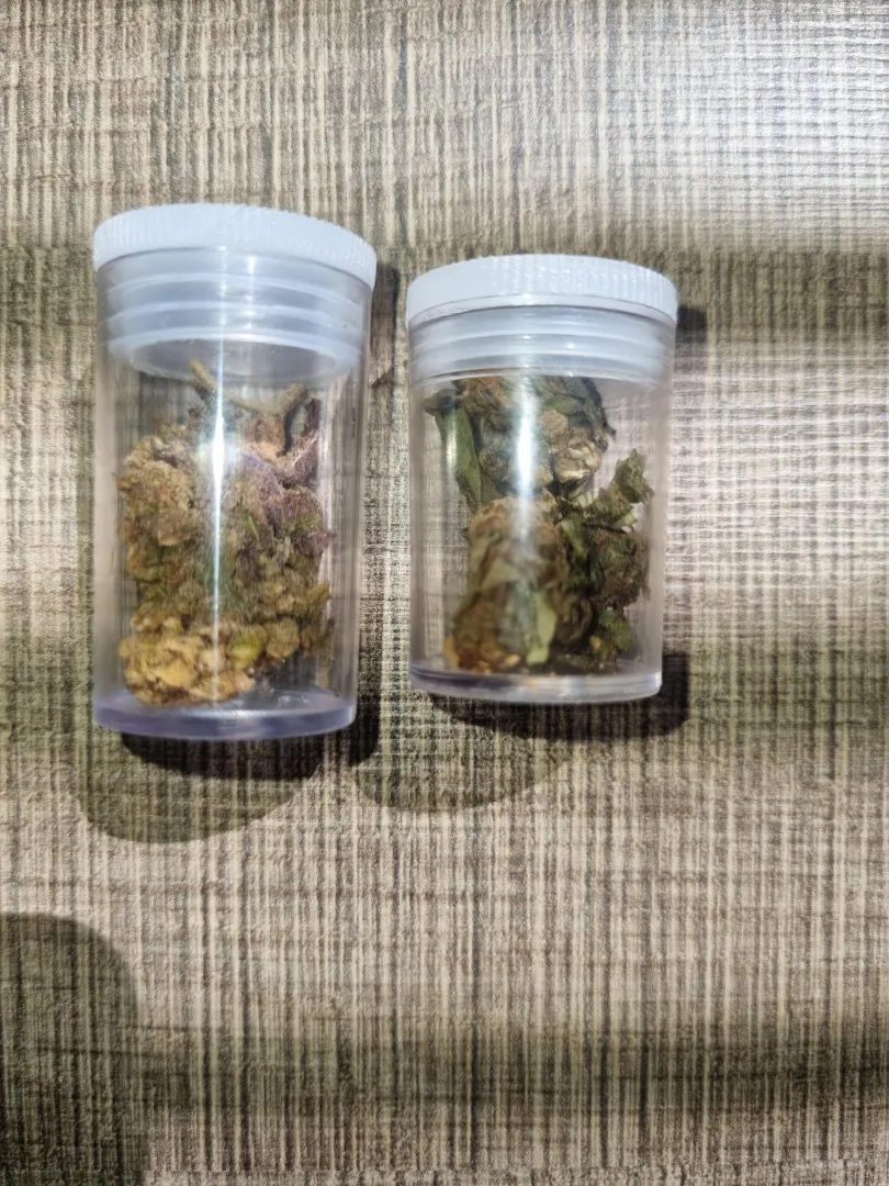 Flor de 30$ e flor de 15$ posted by AwarenessOk6151