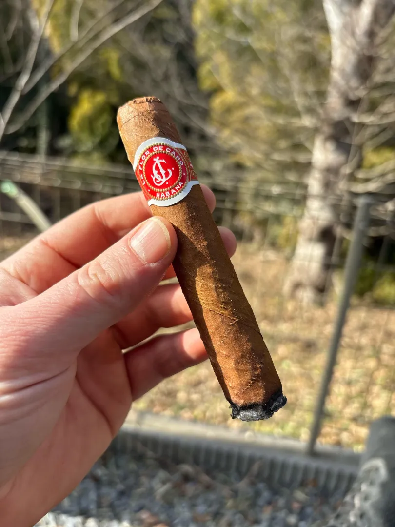Flor de Cano Elegidos posted by Secchakuzai-master85