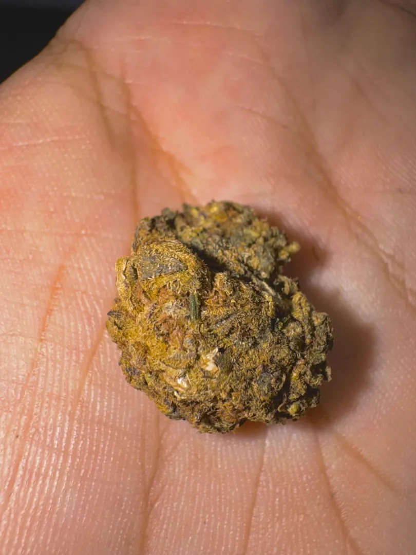 Flor Orange  posted by thefckngoat-