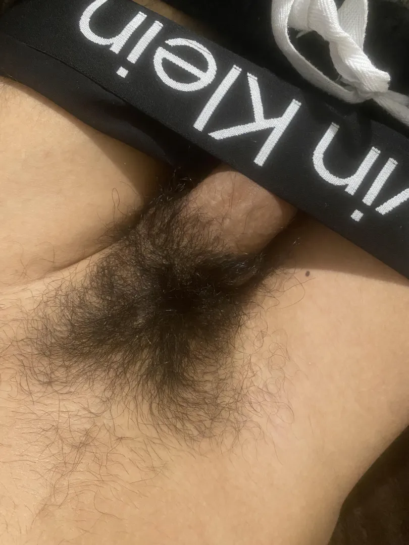 Follow me on x: lucasultim posted by Responsible-Chart-33