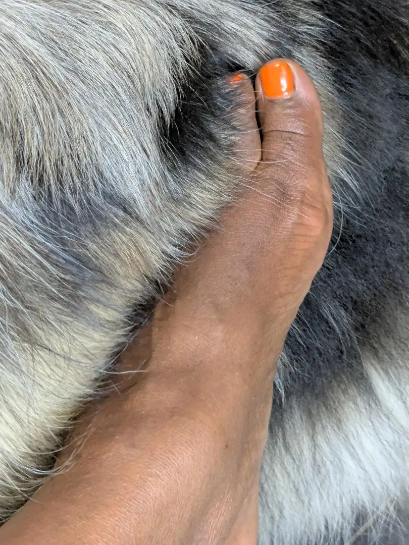 Foot and dog! posted by Ebony_Step