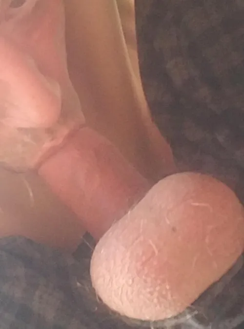 For the ladies that enjoy this act by Late_Western2614