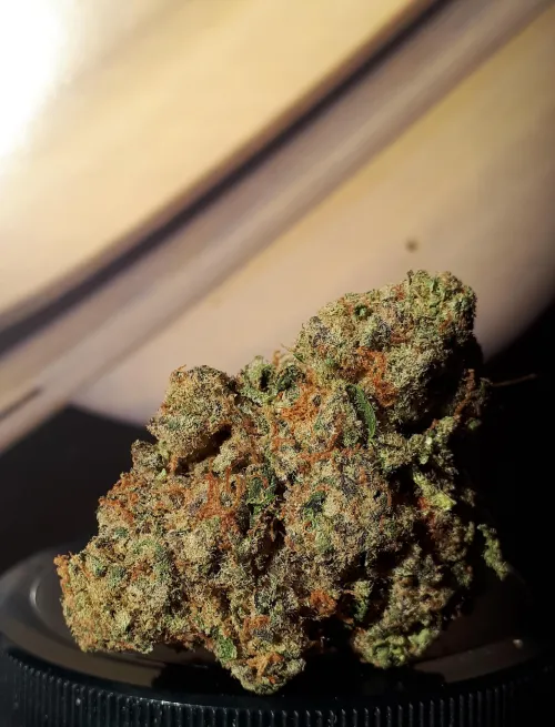 Forbidden Fruit by MostHigh448