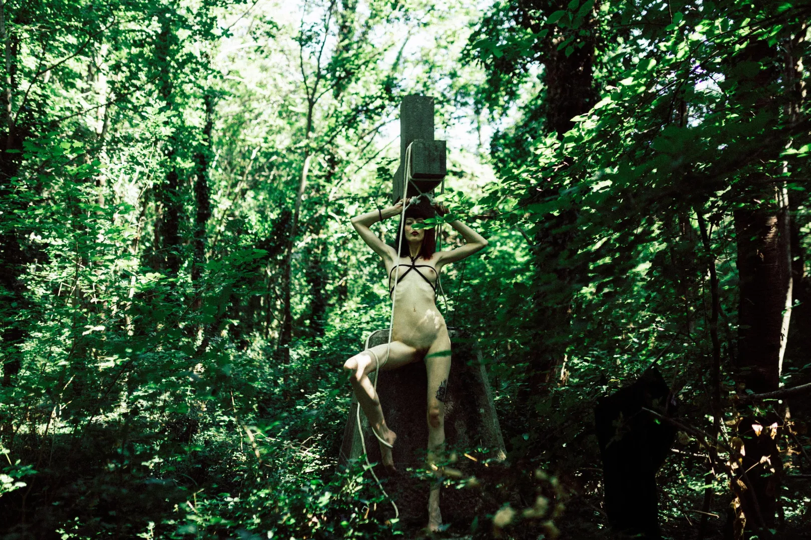 Forest rope... posted by pokemon_art_45