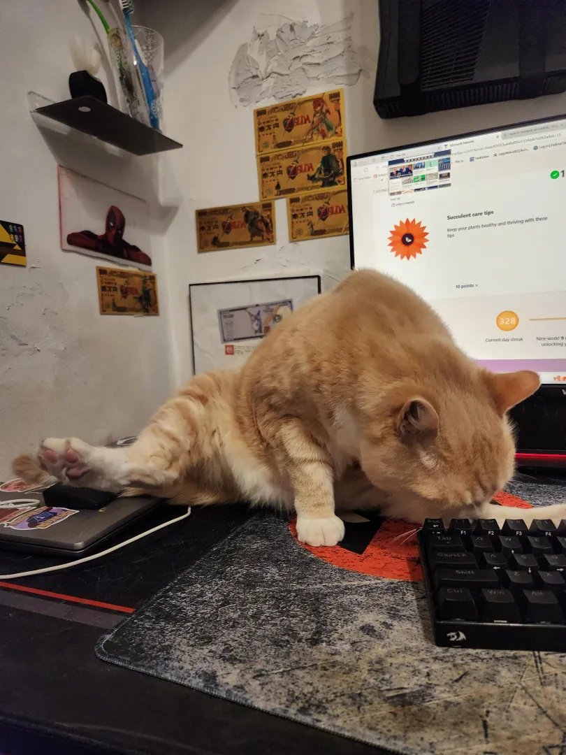 Forgot about this one of Sandy [M] posted by Lady_Wolvie82