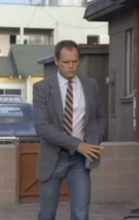 Fred Dryer showing his bulge and his nice hairy chest. He played Rick Hunter in an 80s series called 