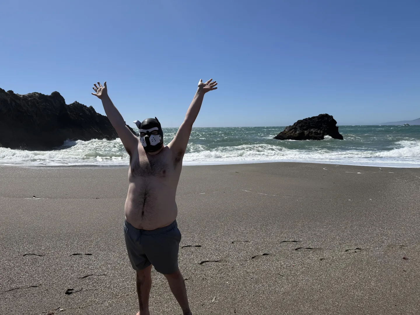 Free puppy, and free puppy posted by SnooCakes6910