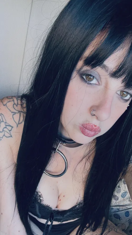 Free tonight + tomorrow for fun – 19F – send on lg: .lunarumes. by M1collector65